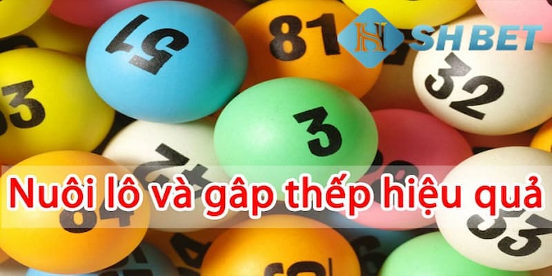 Bật mí cách đánh lô đề gấp thếp từ cao thủ