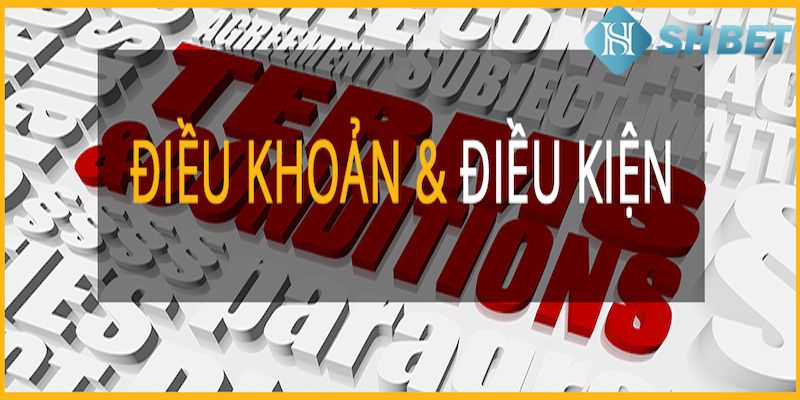 Hậu quả khi vi phạm điều kiện điều khoản tại đây là gì