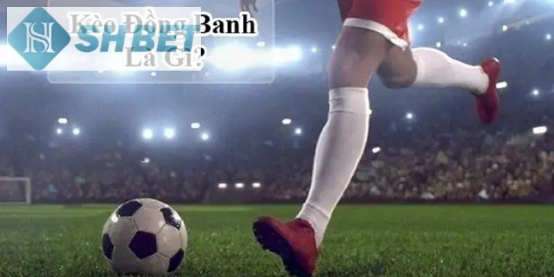 Kèo đồng banh nghĩa loại kèo mà không có đội bóng đá nào được chấp