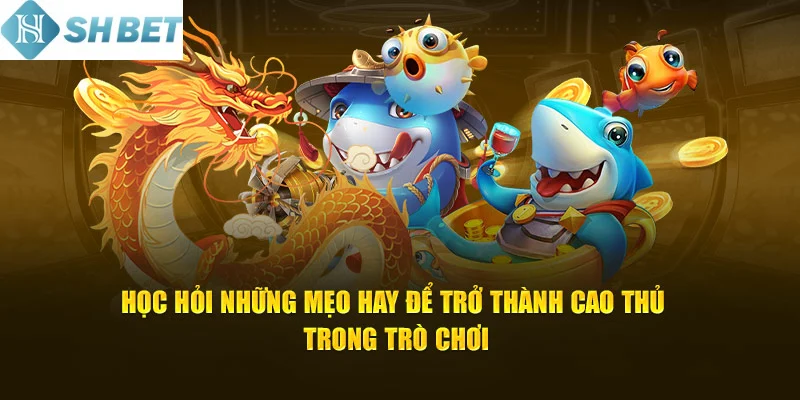 Đừng quên áp dụng mẹo chơi bắn cá thần rồng hiệu quả ngày hôm nay
