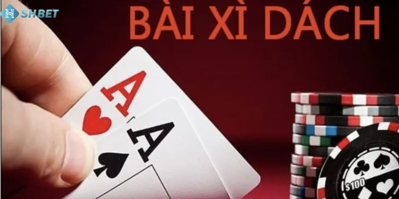 Những lưu ý phải biết khi chơi xì dách tại SHBET