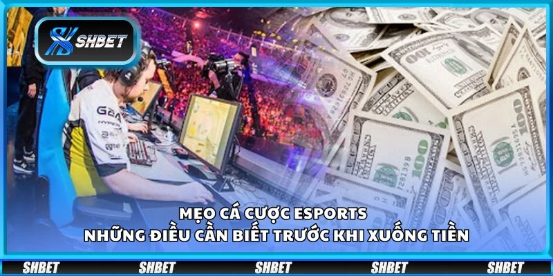 Mẹo cá cược Esports – Những điều cần biết trước khi xuống tiền